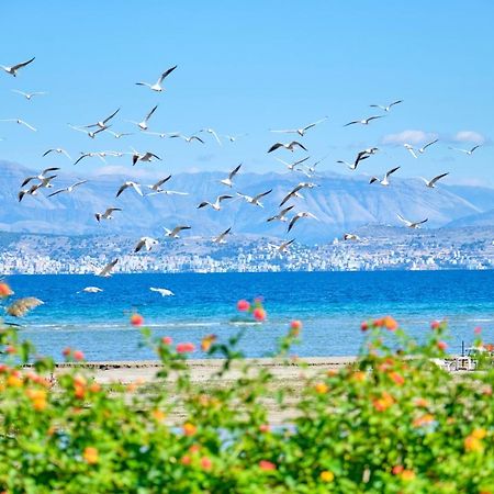 Nikos Kalamaki Corfu Apraos 外观 照片